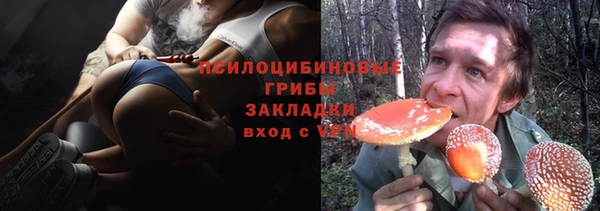 молекула духа Надым