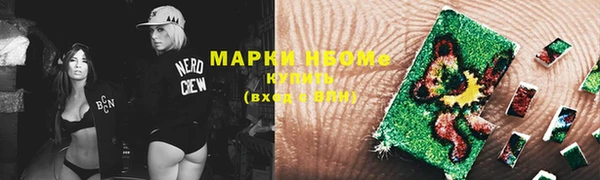 молекула духа Надым
