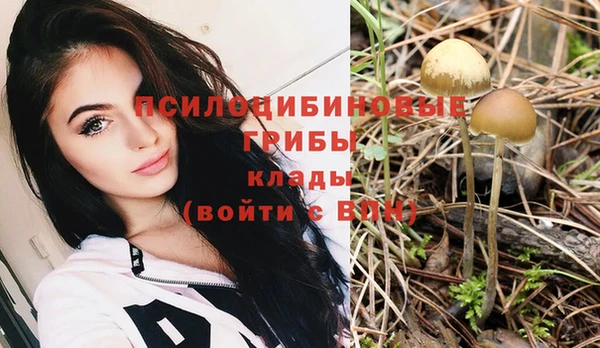молекула духа Надым